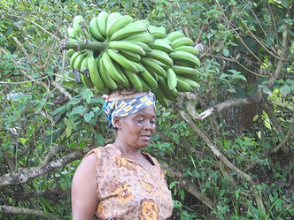 Bryson Heroes Tours - Chagga Tribe